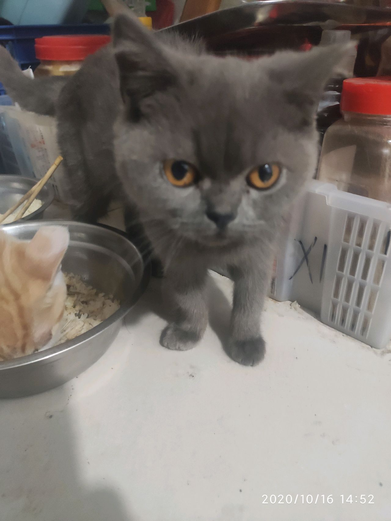 茄子烤