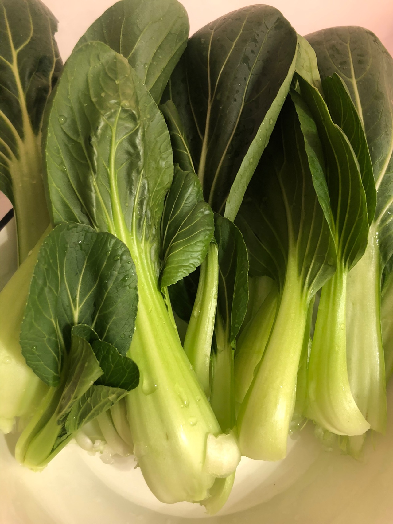 青菜炖泡豆腐