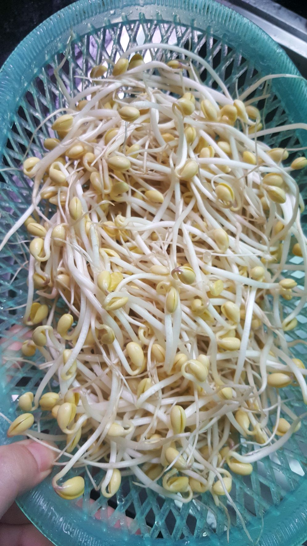青花椒紫苏鱼