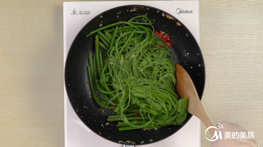 清香南瓜苗
