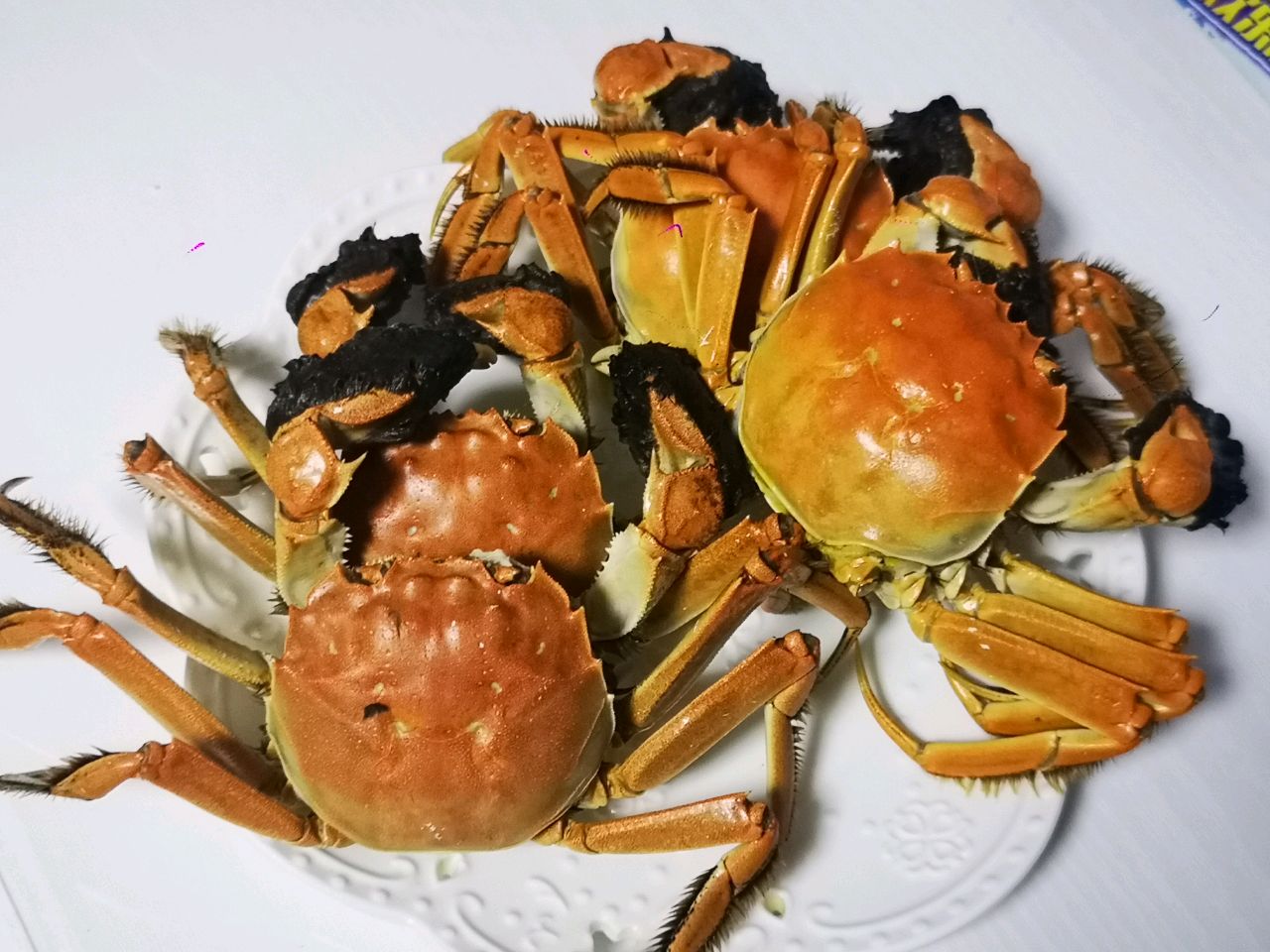 清蒸河蟹