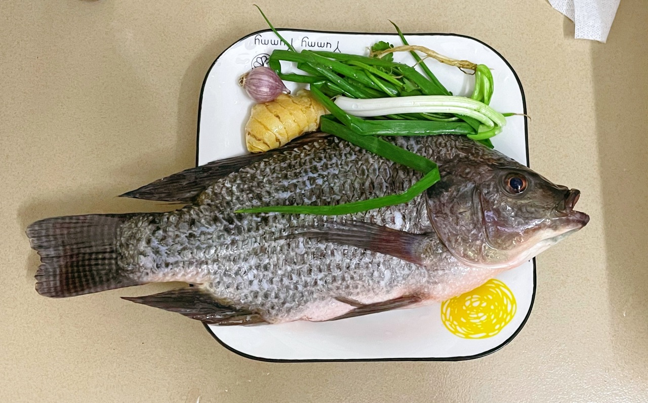 清蒸罗非鱼