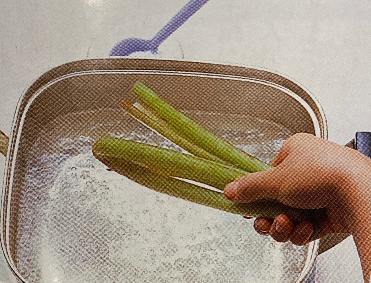 ふきの青煮
