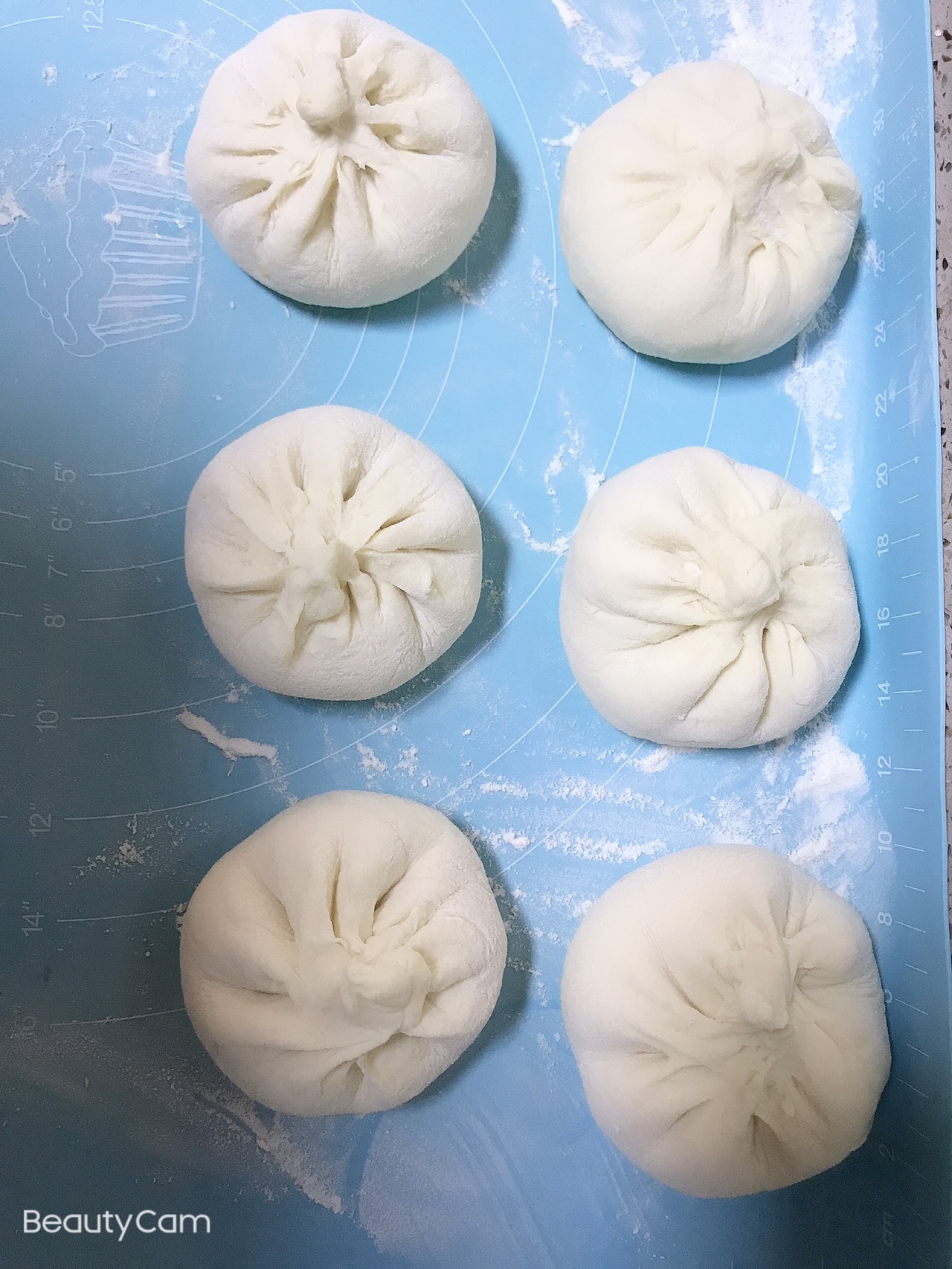 秋冬白菜猪肉大包子