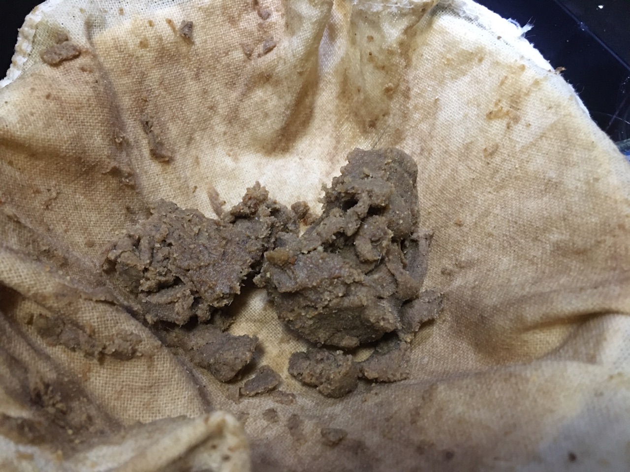 秋季必备超治愈的川贝秋梨膏