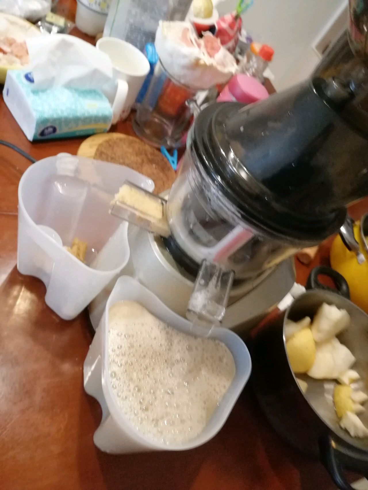 秋季止咳良方～～雪梨膏