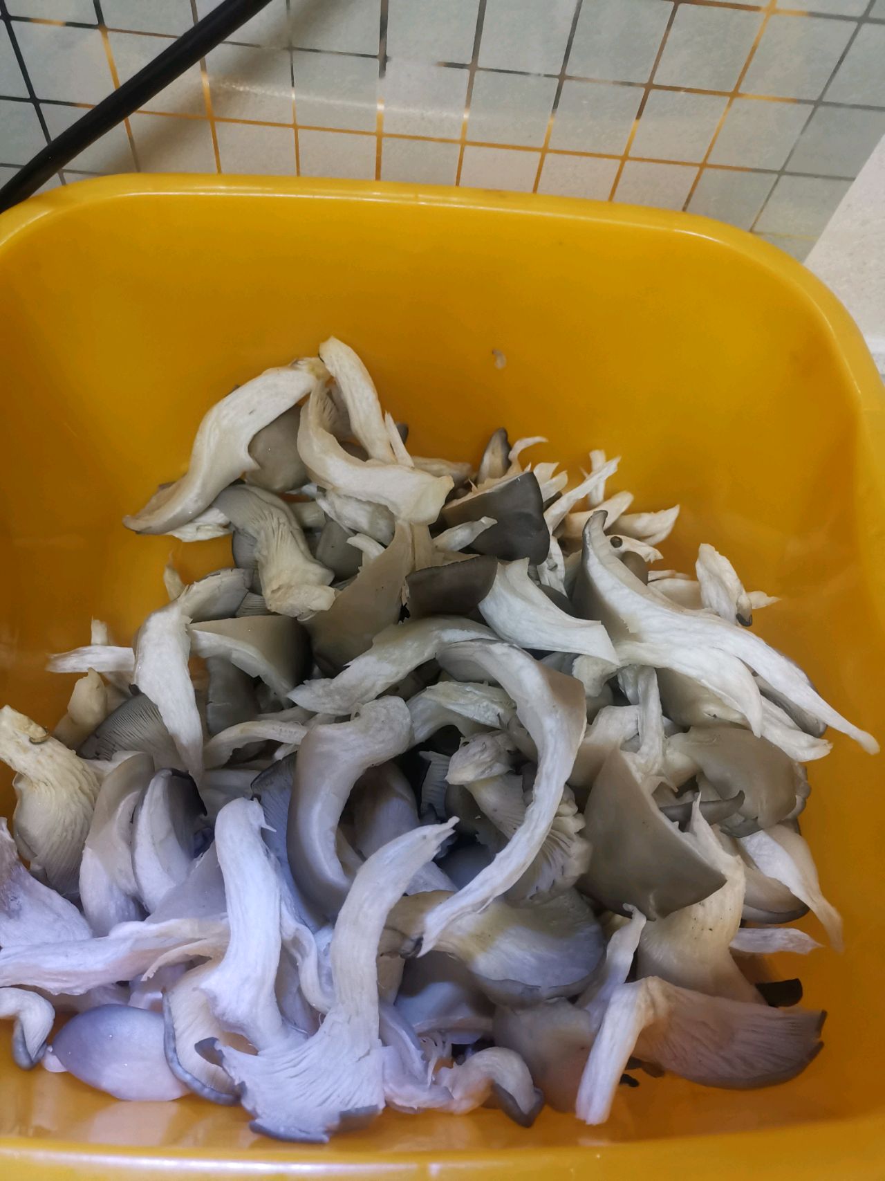 秋日的鲜滋味