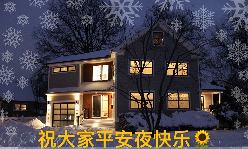 全麦花式面包