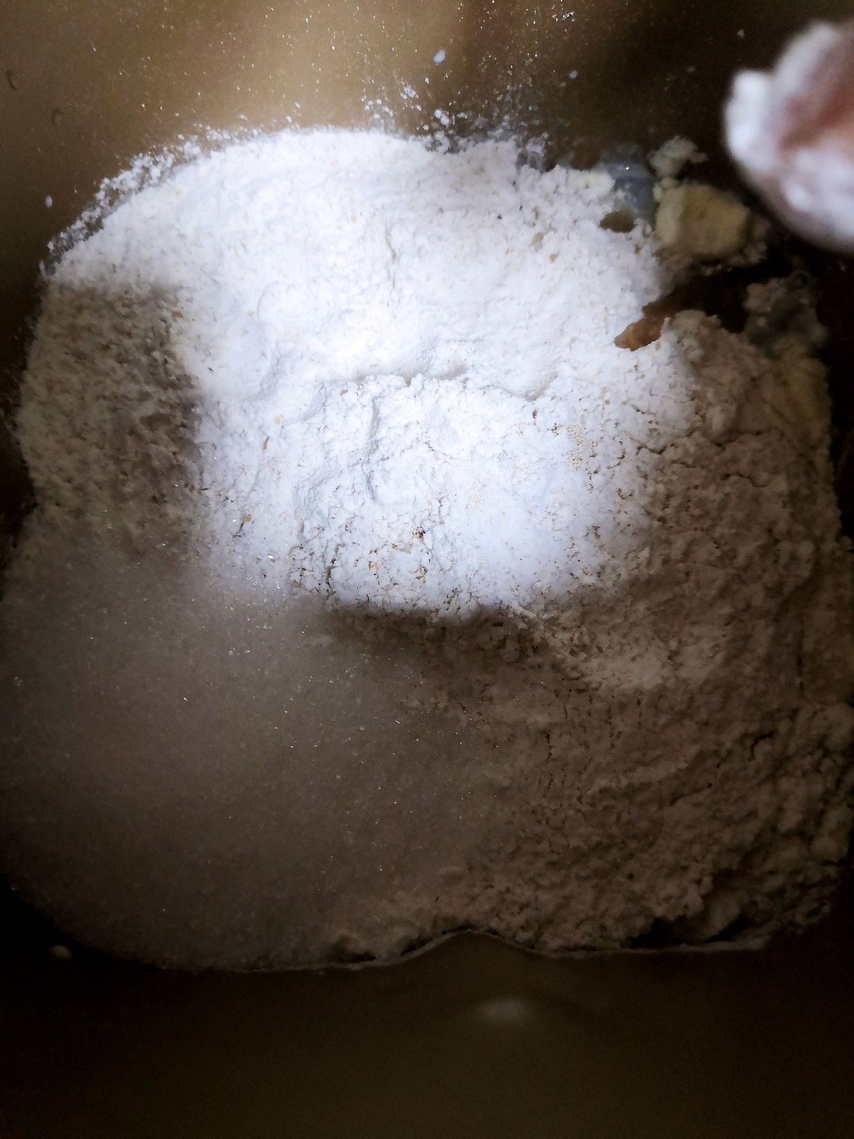 全麦面包