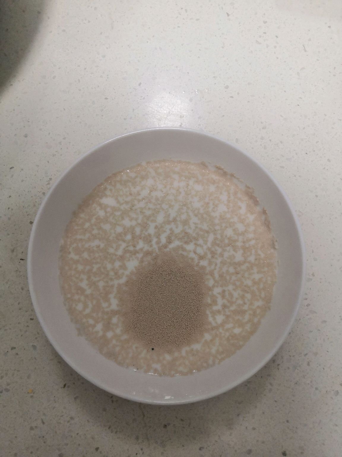 全麦面包(手揉)