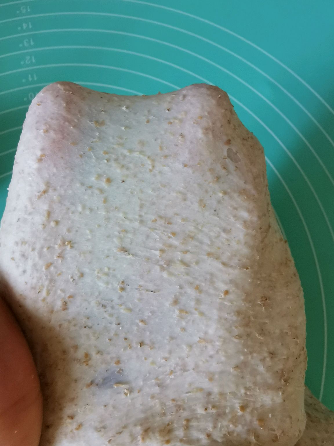 全麦软欧包