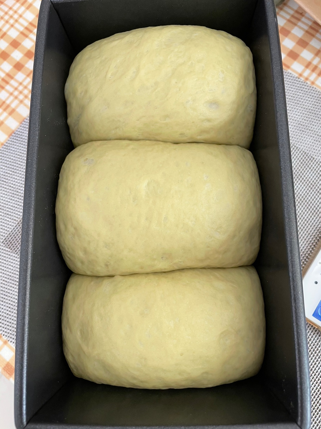 全麦吐司中种