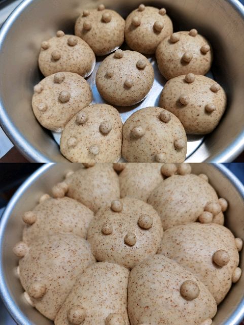 全麦椰香小熊餐包