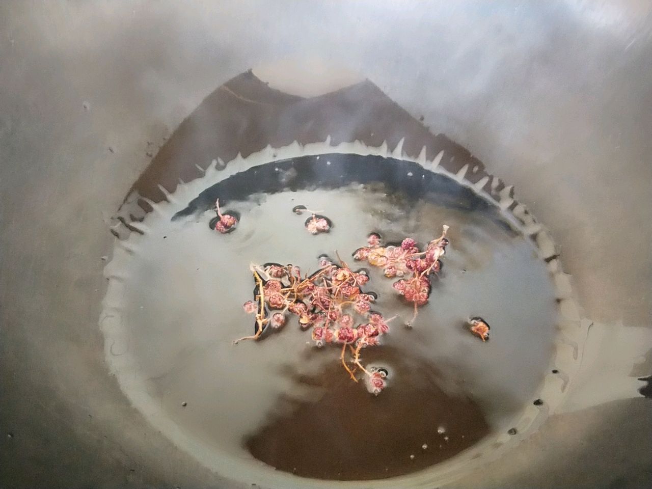 肉末豆腐(不辣但下饭）