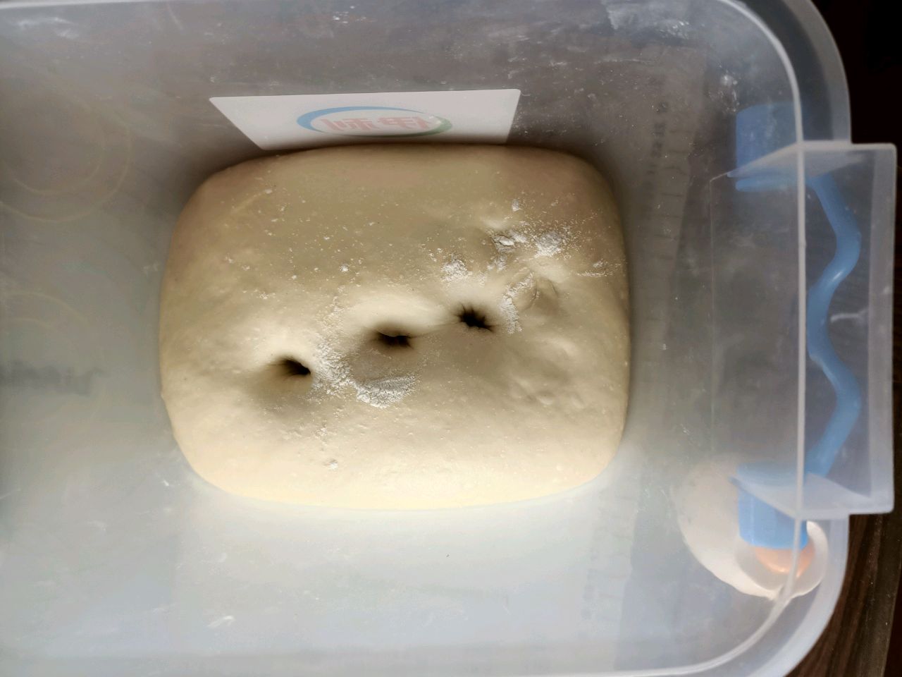 乳酪面包
