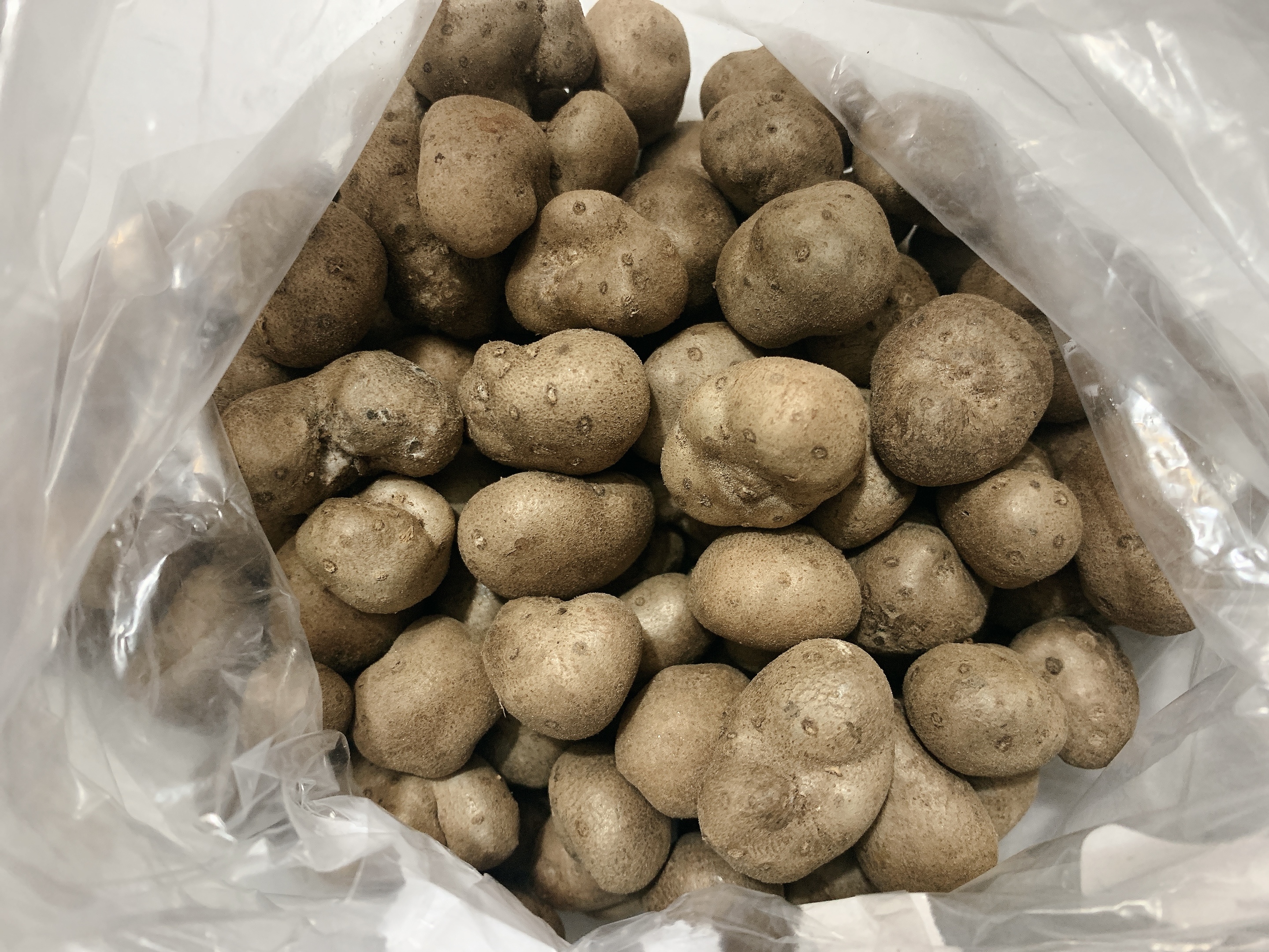 瑞雪兆丰年,“雪中的”糖霜山药豆