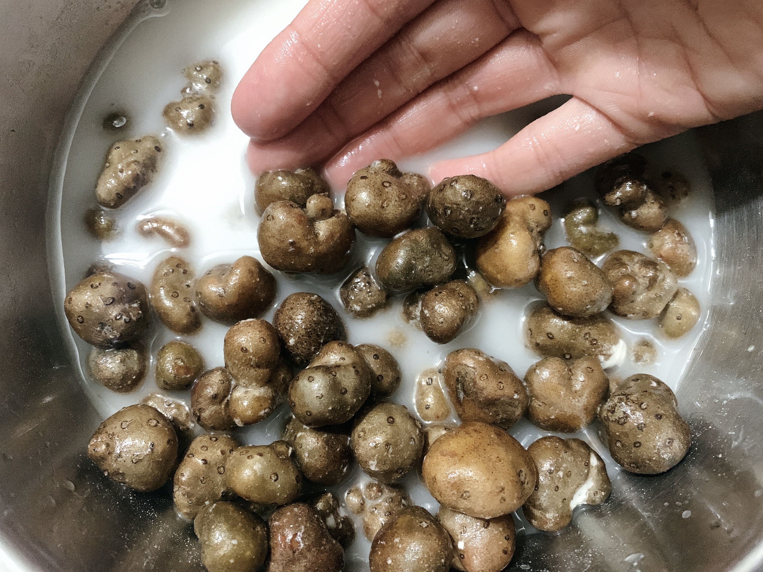 瑞雪兆丰年,“雪中的”糖霜山药豆