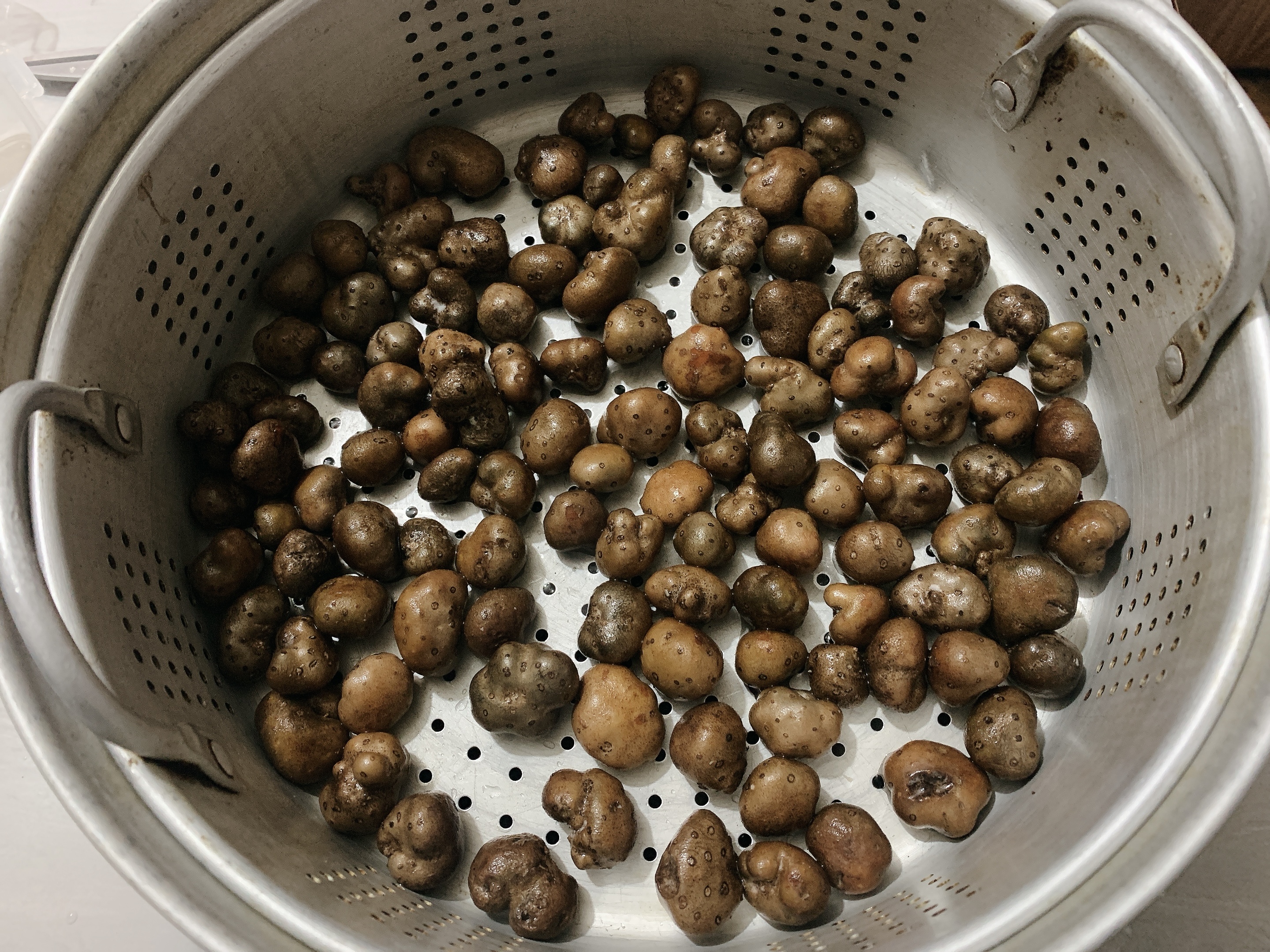 瑞雪兆丰年,“雪中的”糖霜山药豆