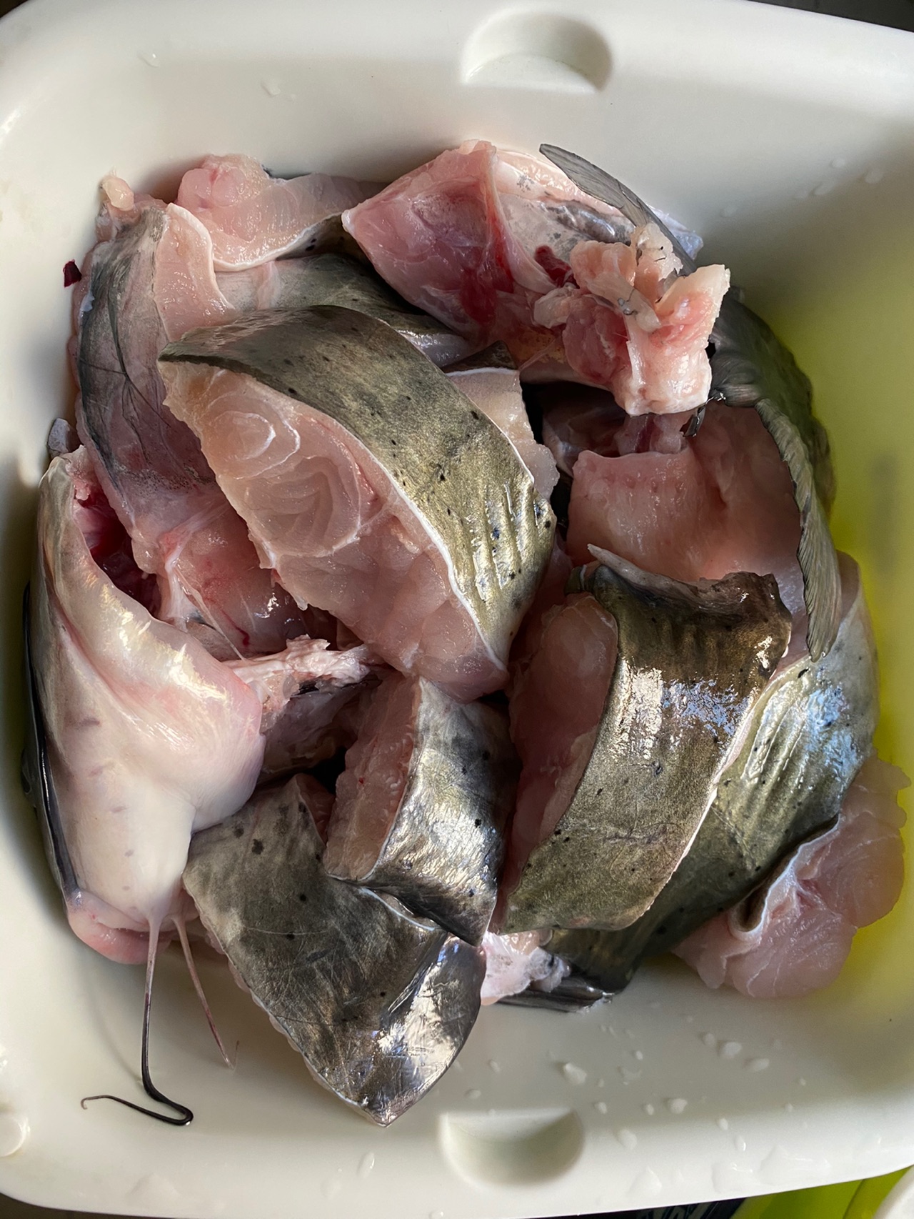 砂锅豆豉清江鱼