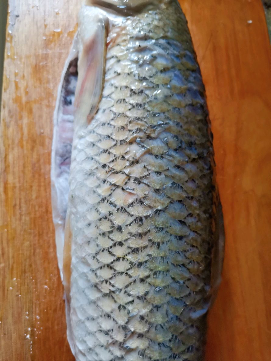 砂锅鱼炖豆腐萝卜