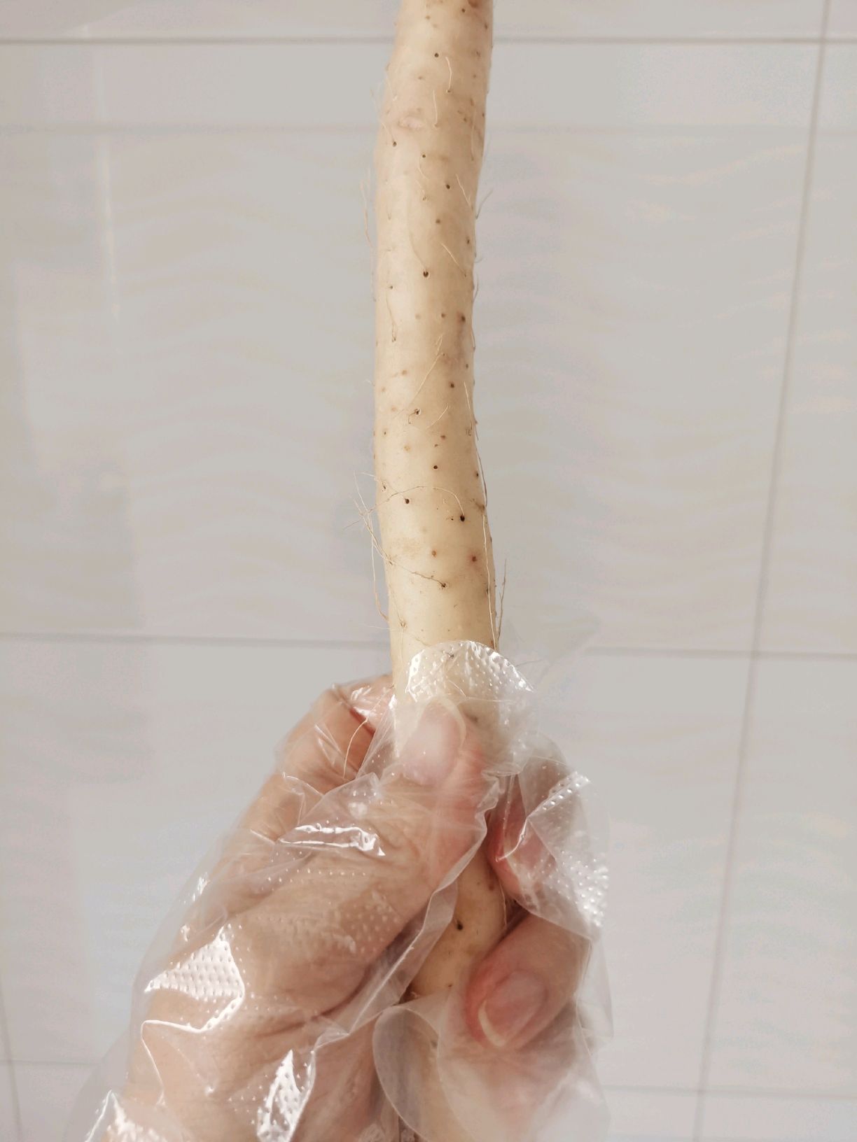 山药排骨玉米养生汤