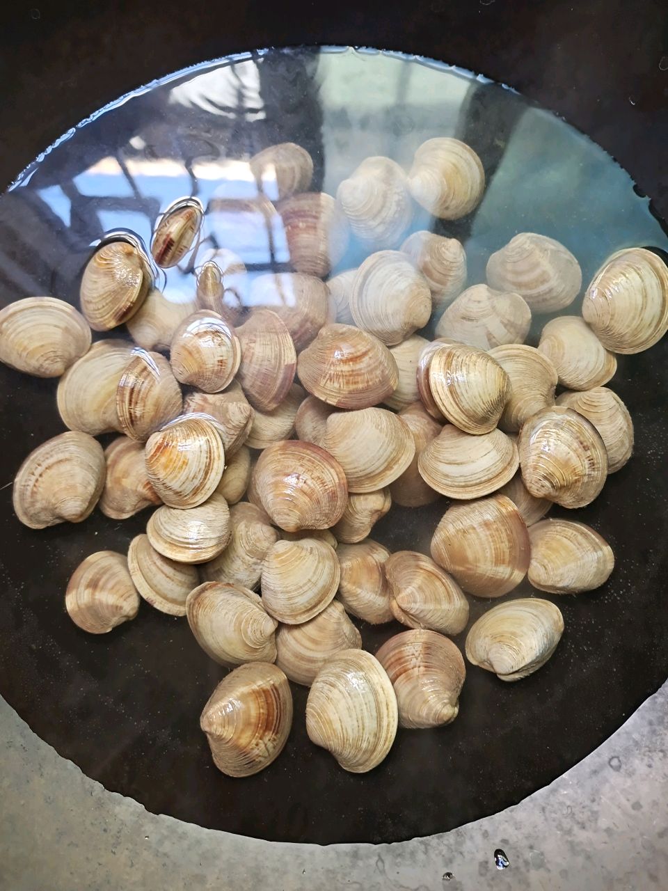神鲜美味～蛤蜊白菜汤