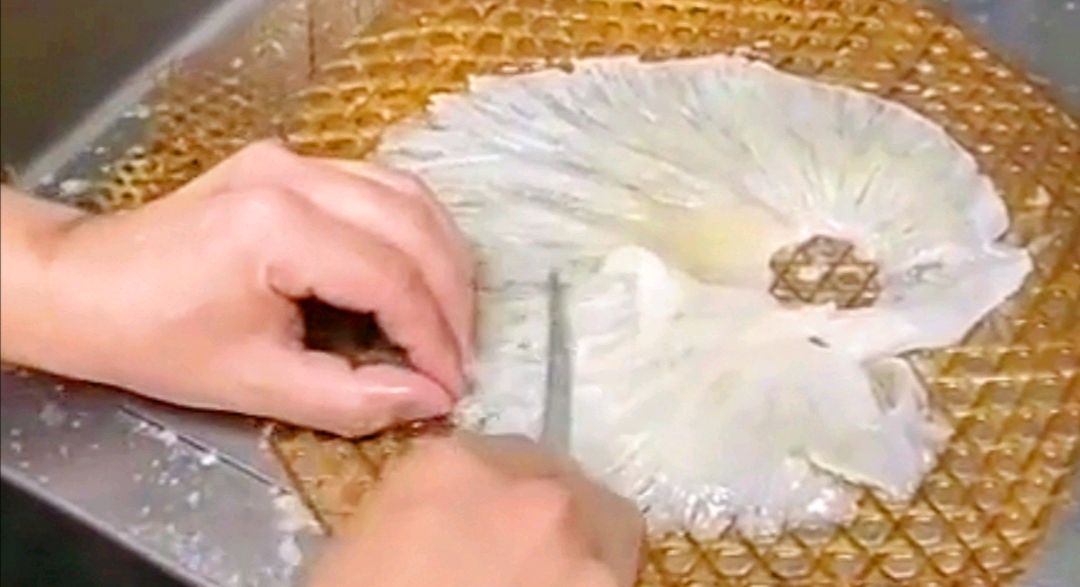 生拆蟹肉干捞海虎翅