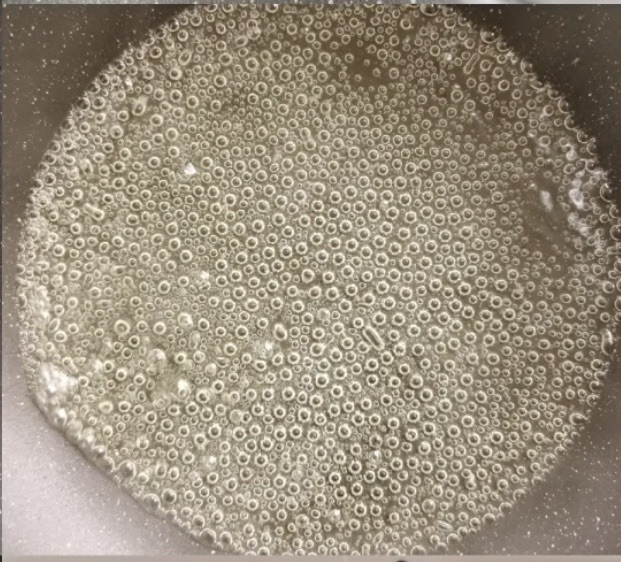 失败嘎嘣脆-在家就能做的草莓冰糖葫芦