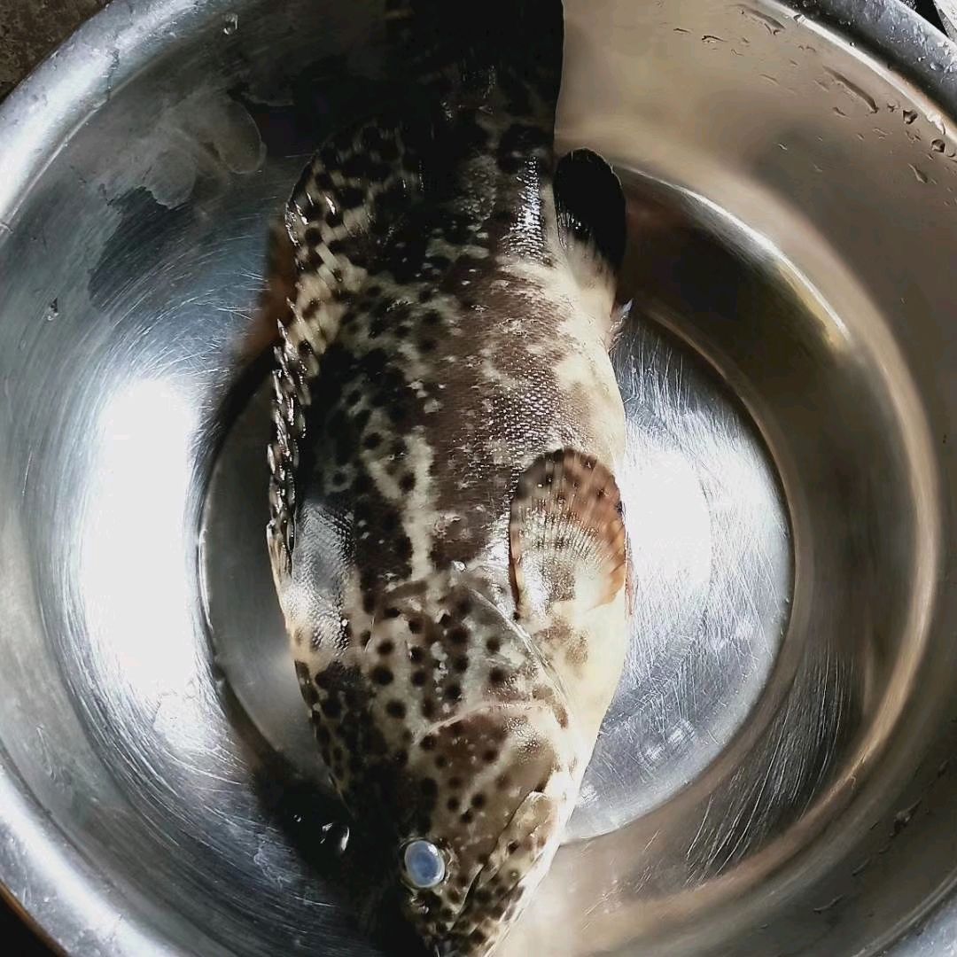 石斑鱼汤