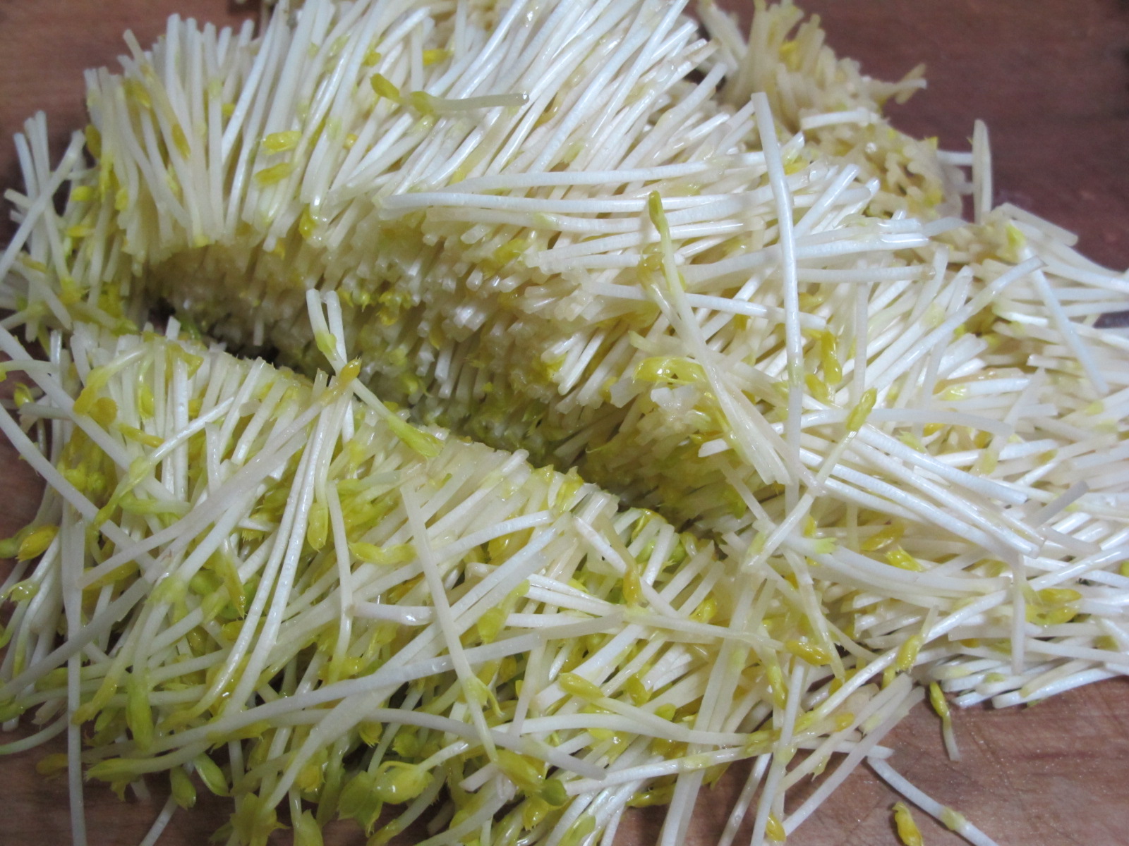 十分钟快手菜——清爽小炒芽苗