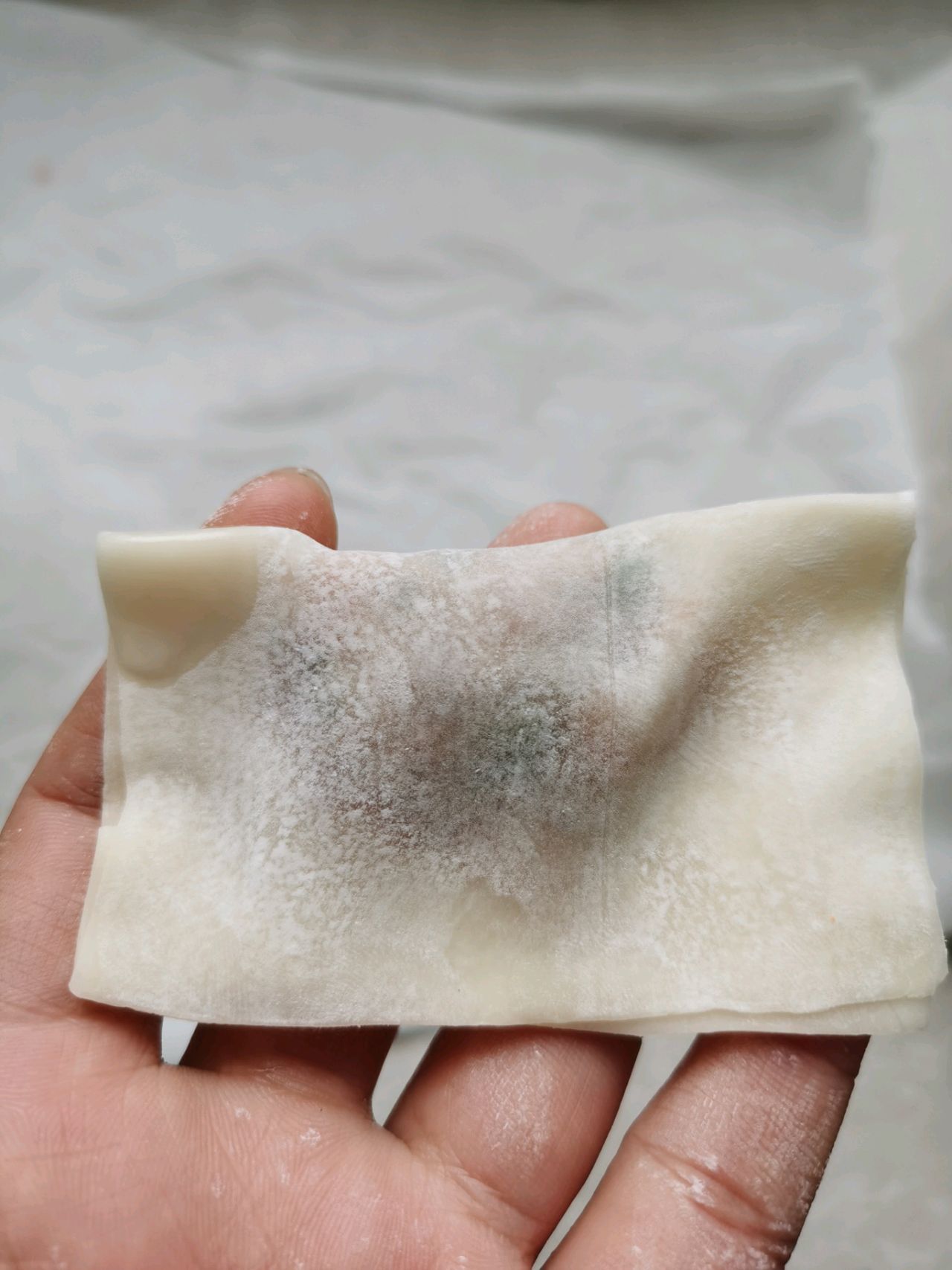 时蔬鲜虾馄饨