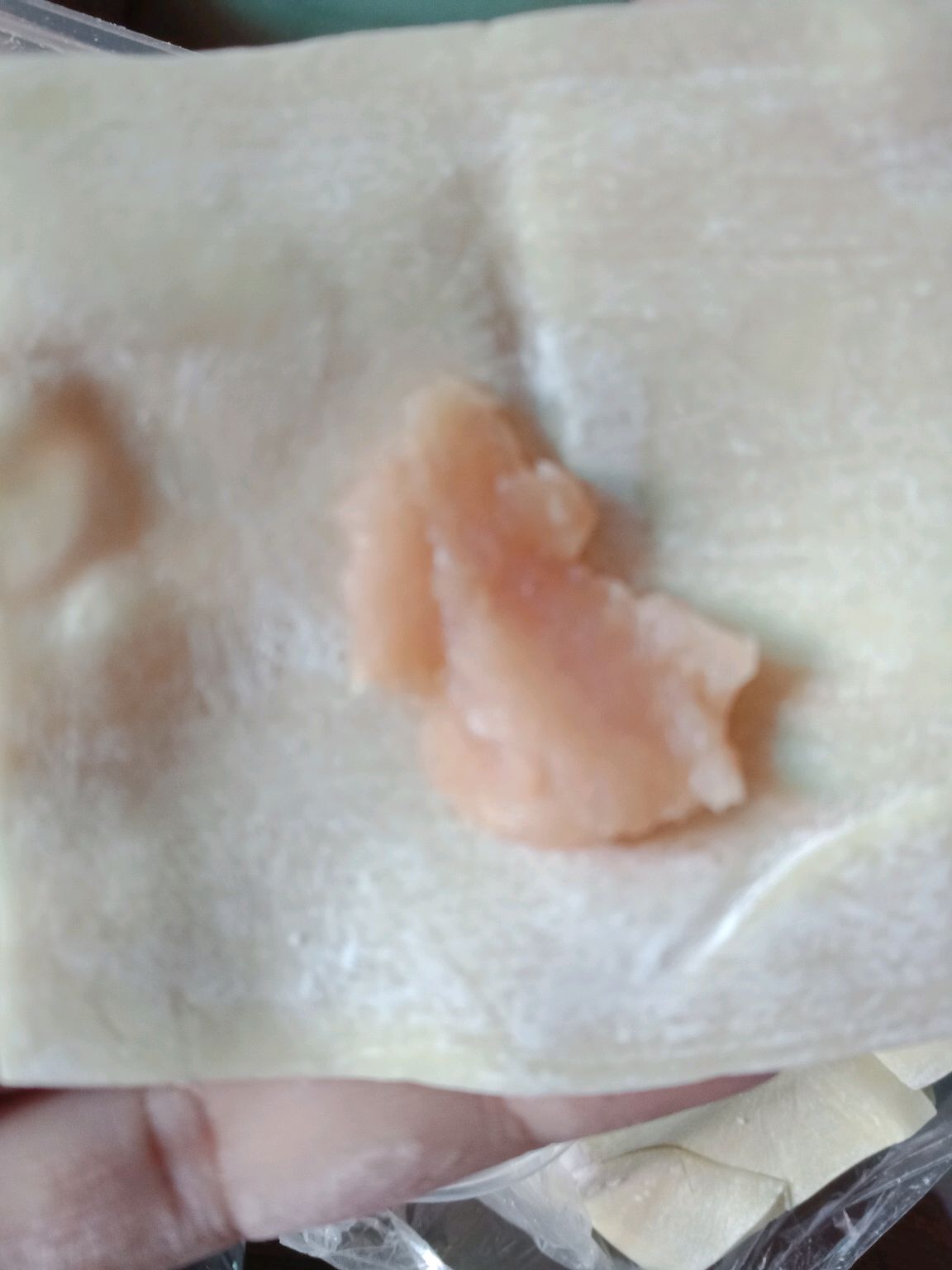 手工小云吞（美味）馄饨