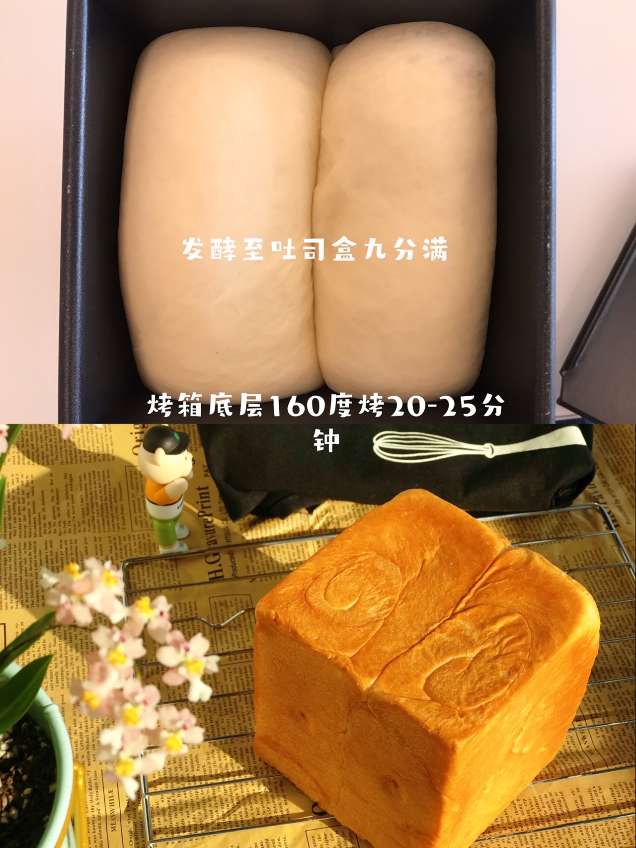 手揉生吐司（手揉手套膜教程）