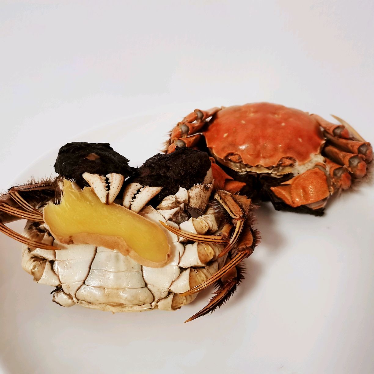 熟醉蟹