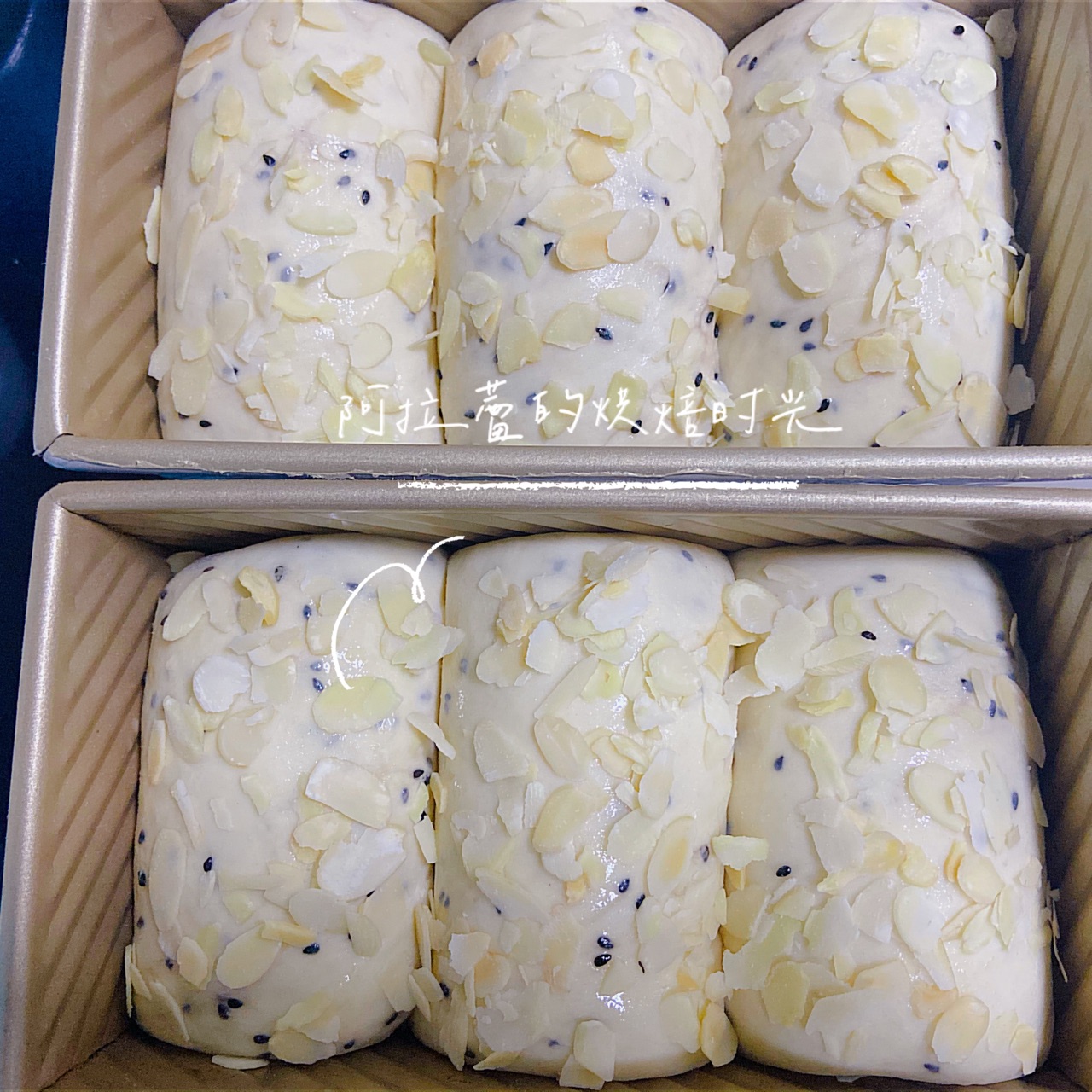 水合法❗️黑芝麻大米吐司