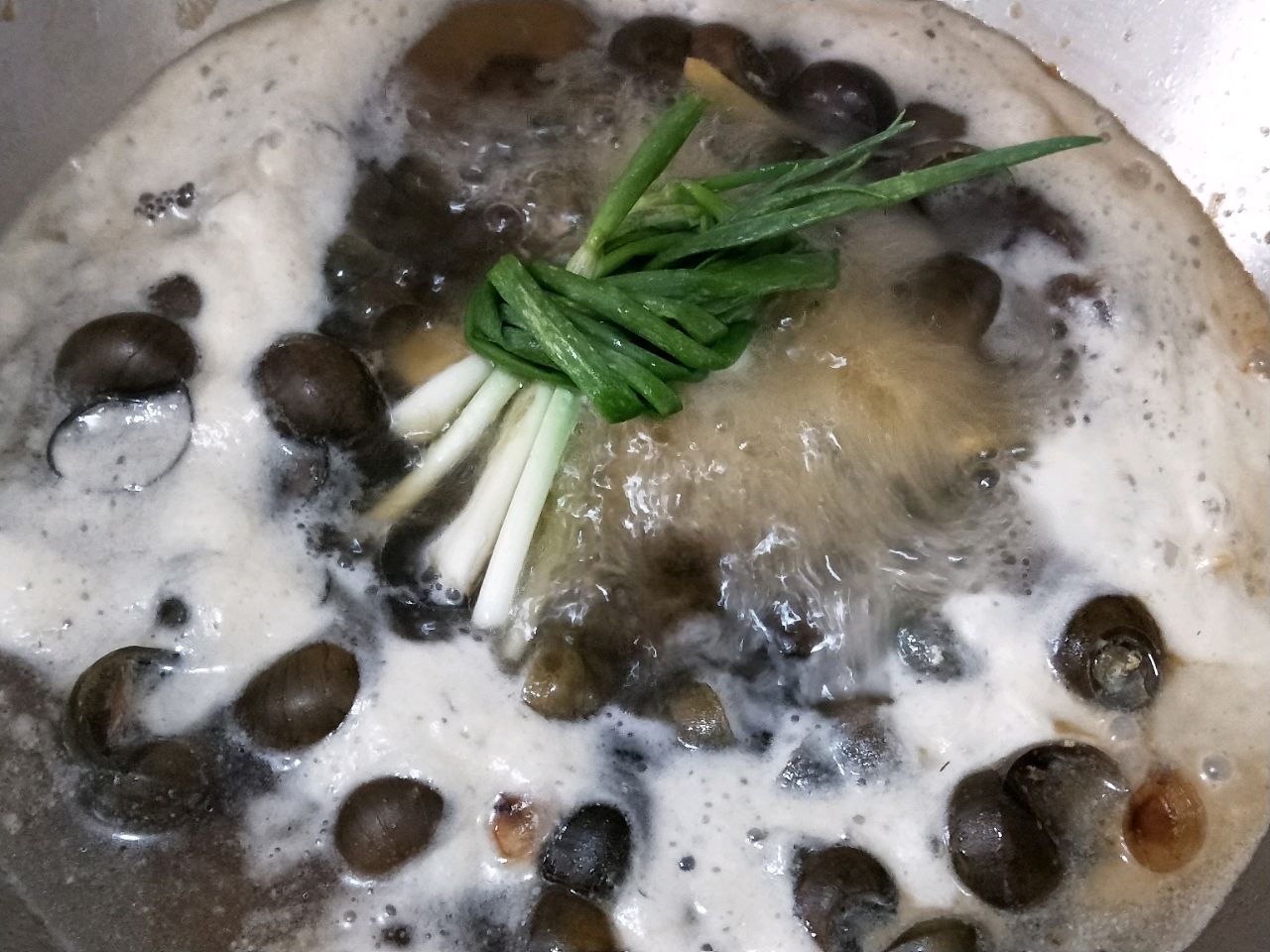 吮指田螺煲
