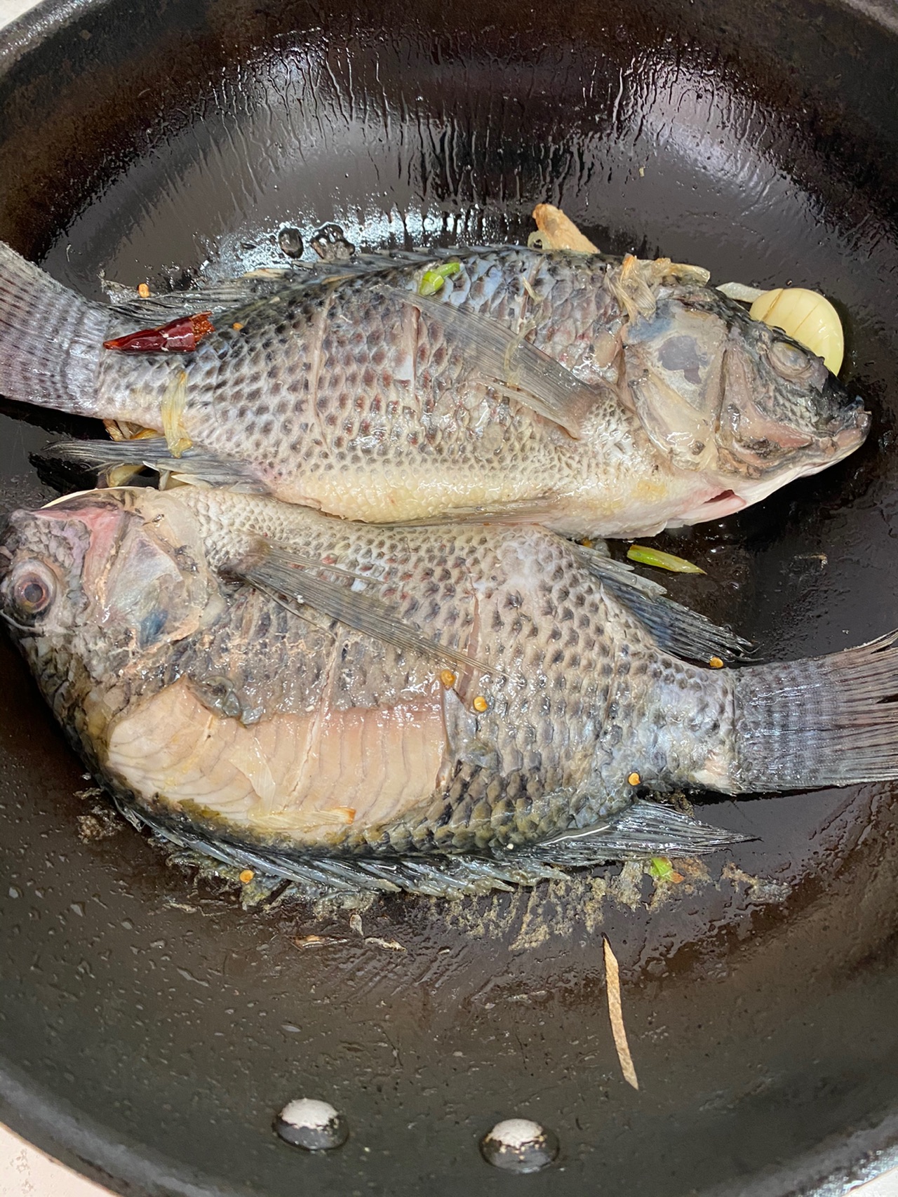私房罗非鱼烧豆腐