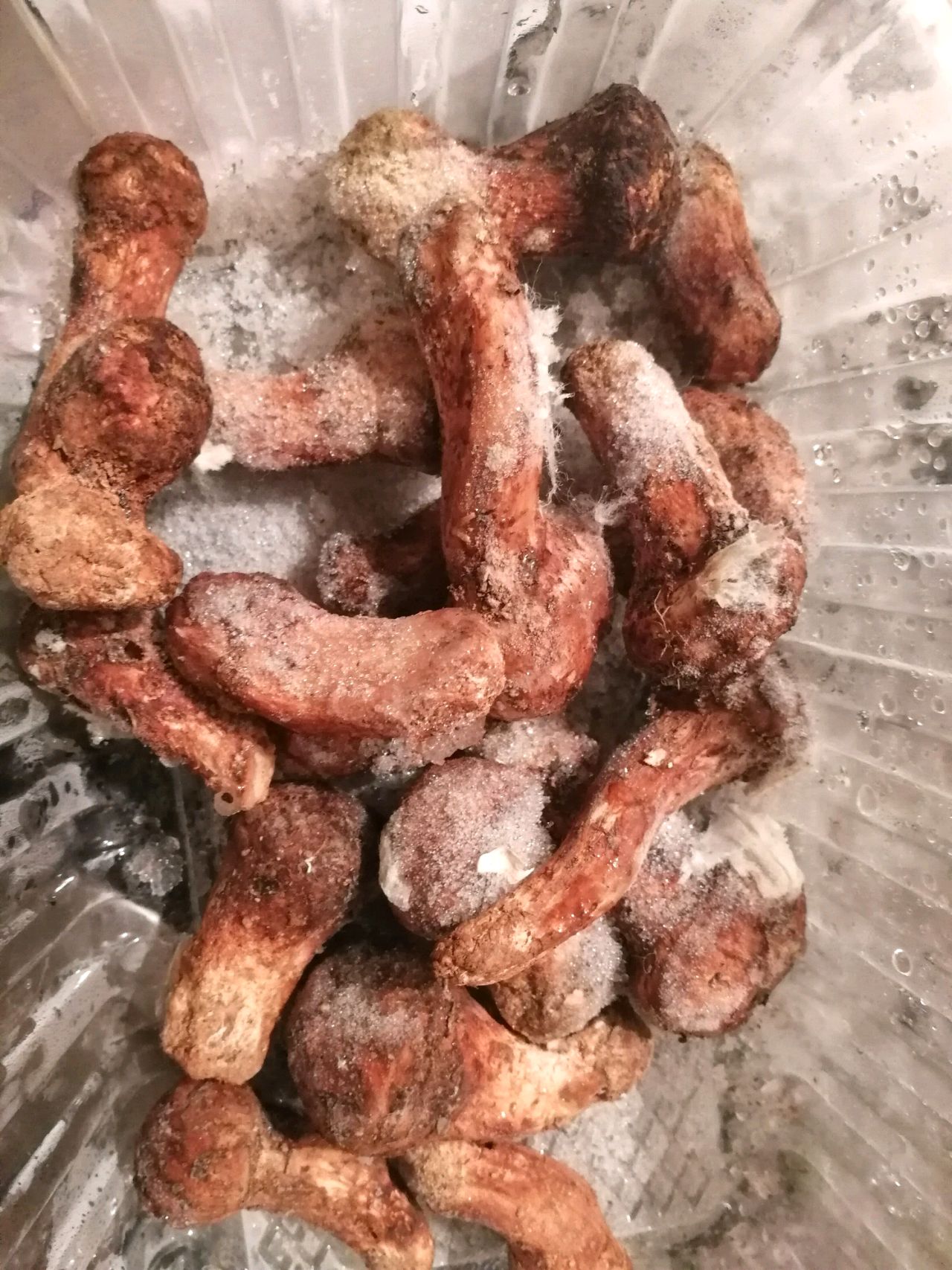 松茸炒熏腊肉