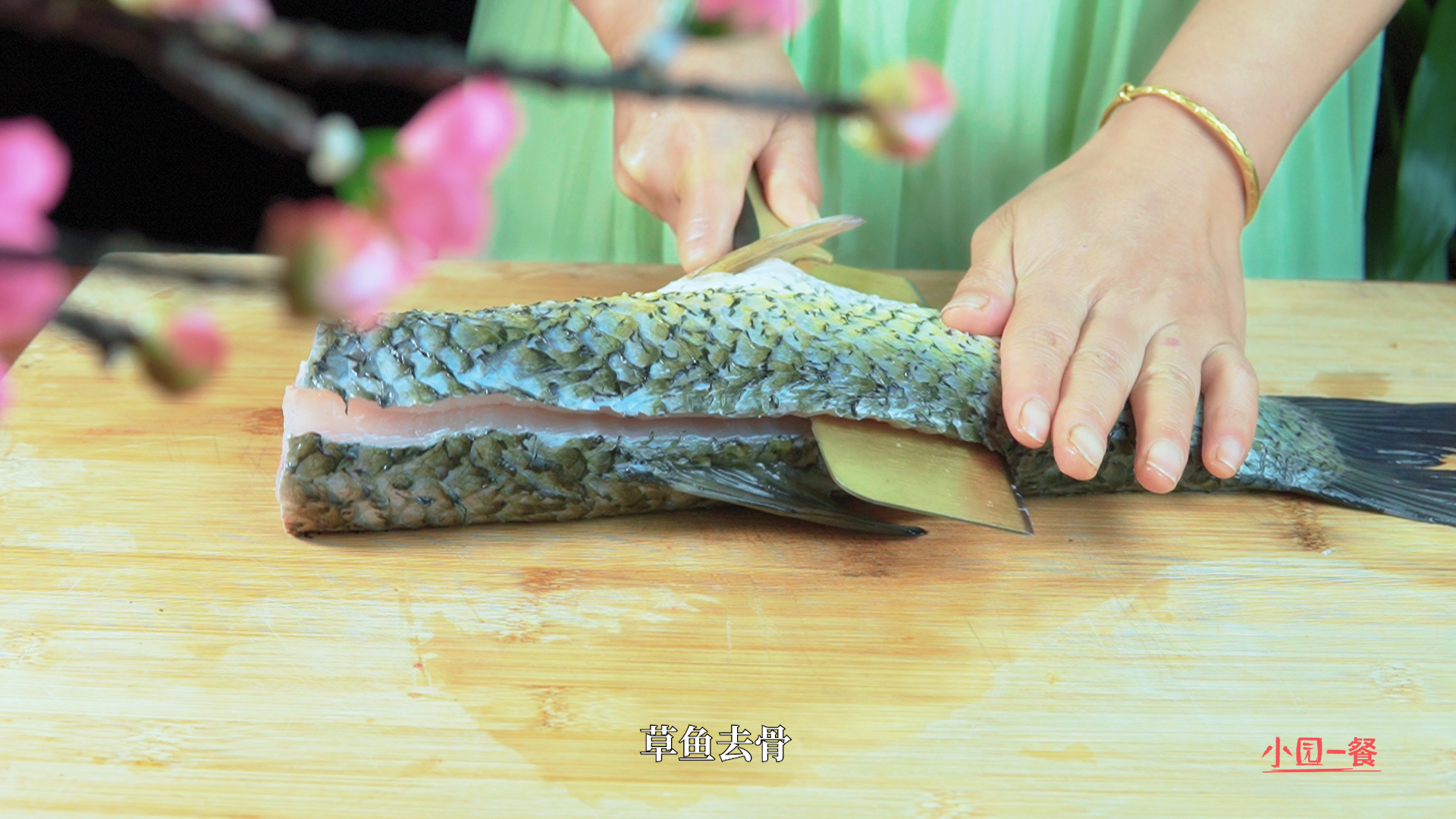 松鼠桂鱼