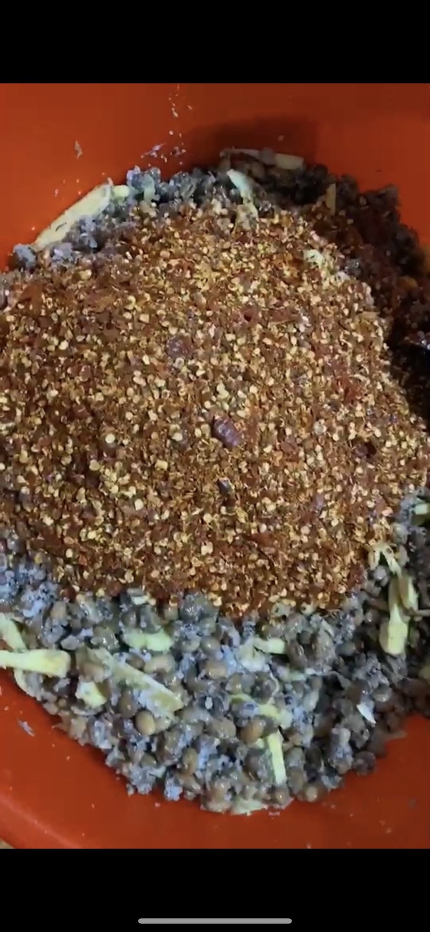苏北酱豆（盐豆子）