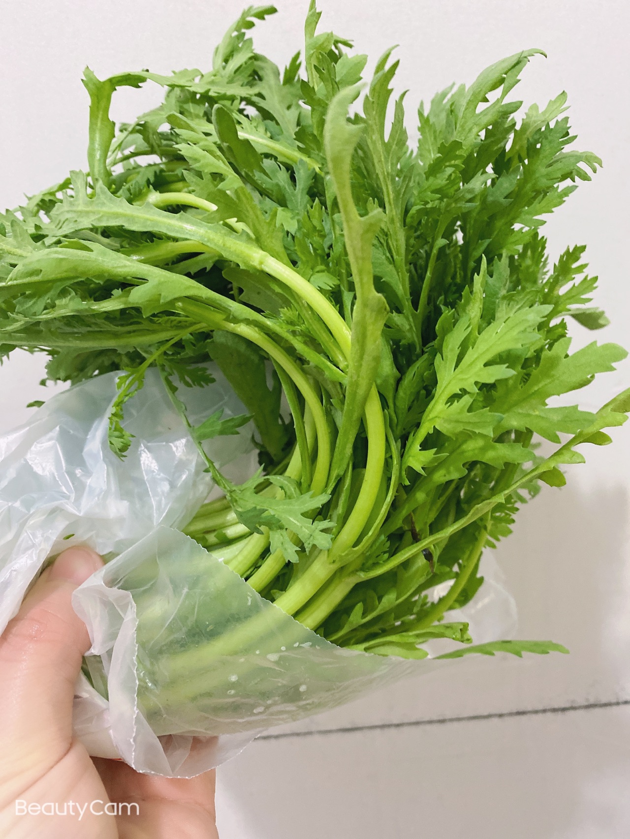 素炒茼蒿