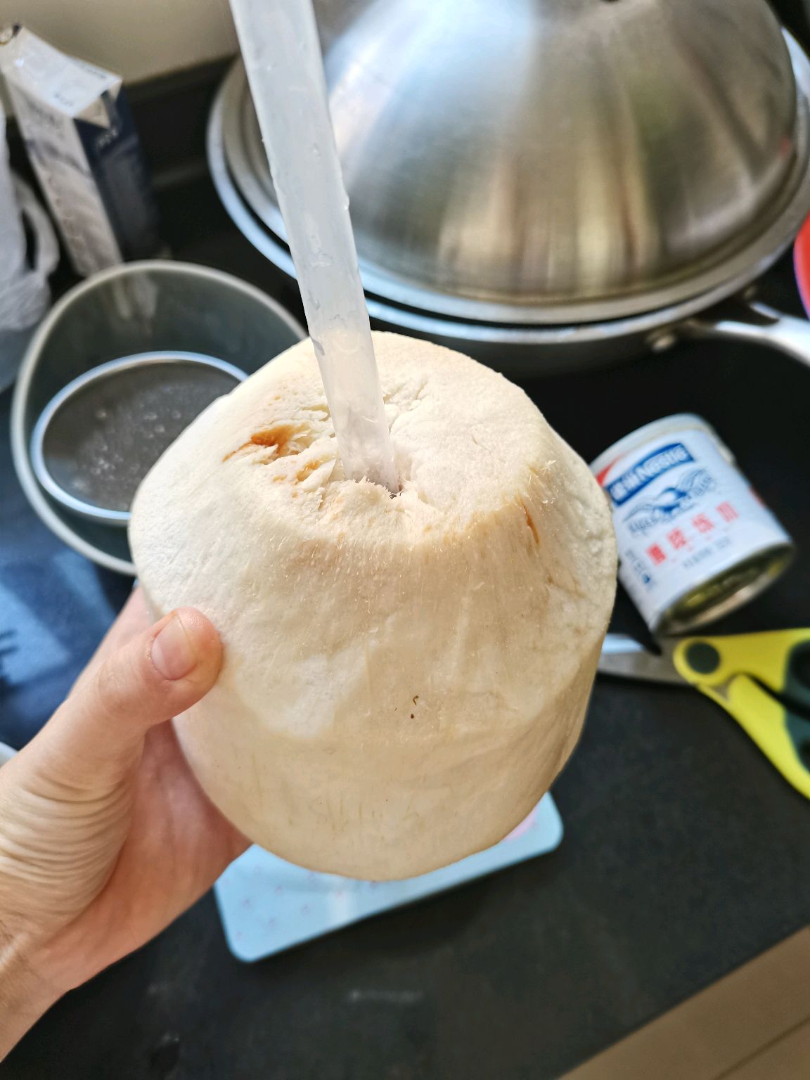 宿舍小锅—椰浆西米露