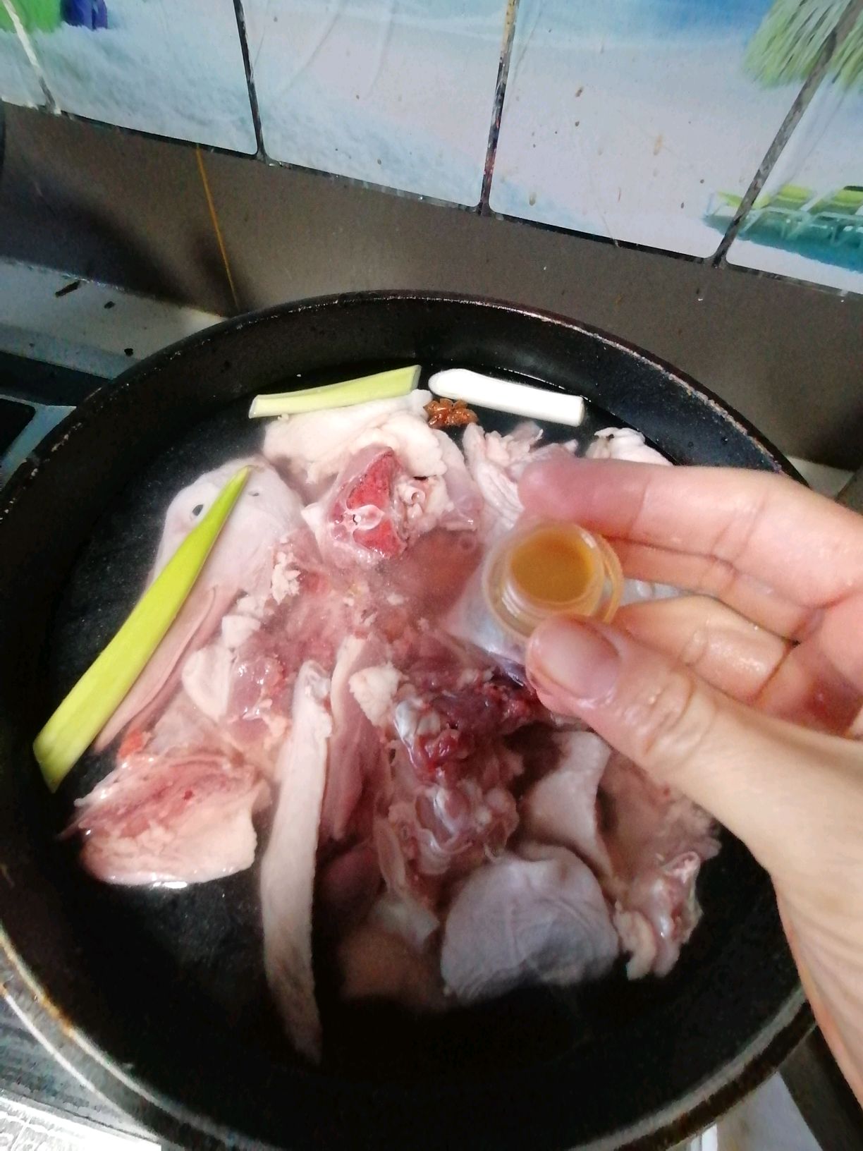 酸菜炖大鹅（炖非洲雁）~东北冬季家常菜