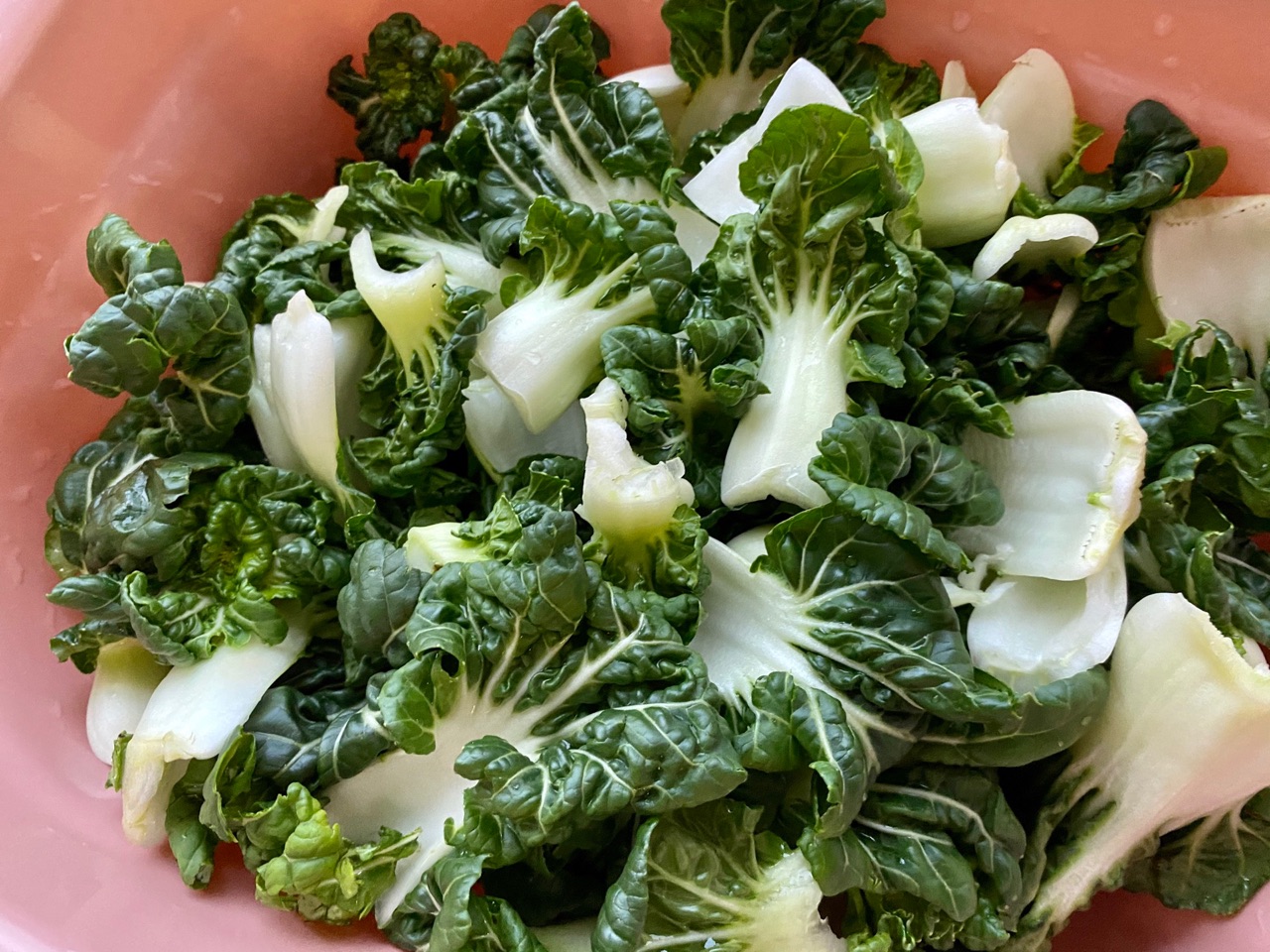 蒜炒高山菜（鹤斗白苗）