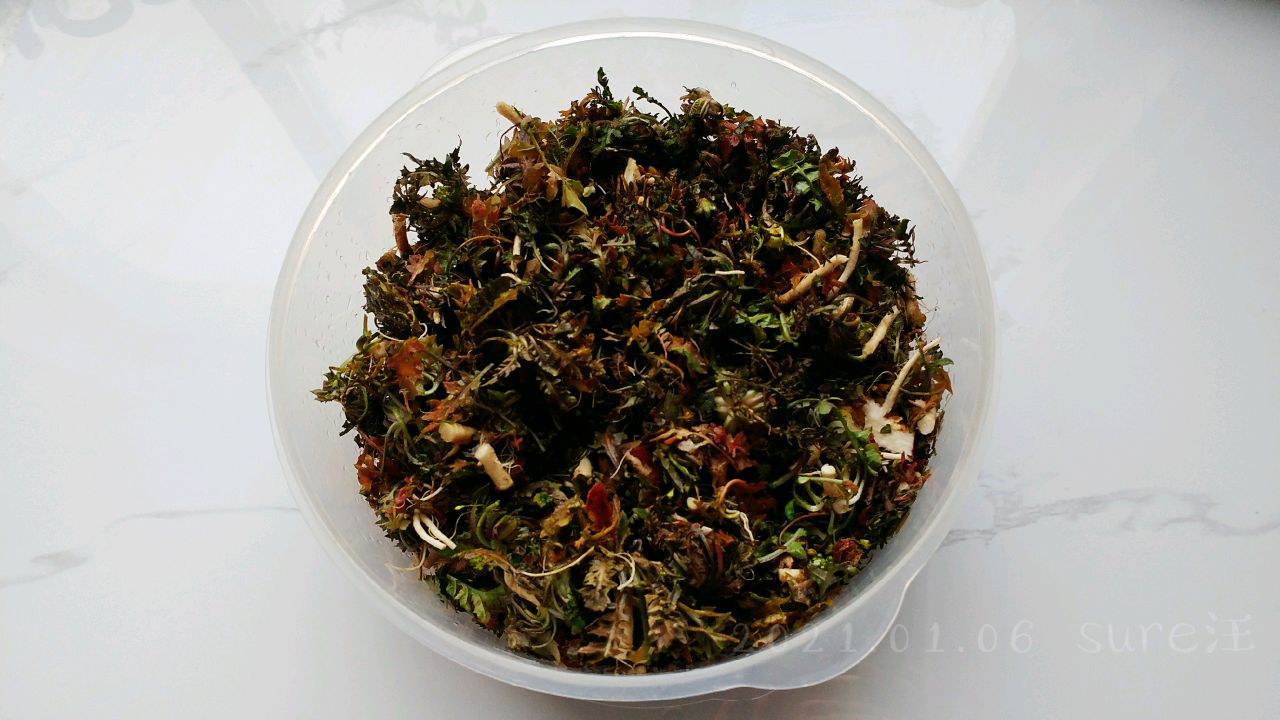 酸辣粉蒸野荠菜