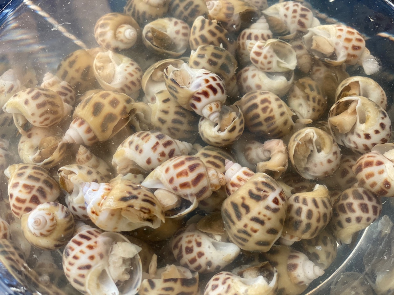 酸辣海鲜荞面