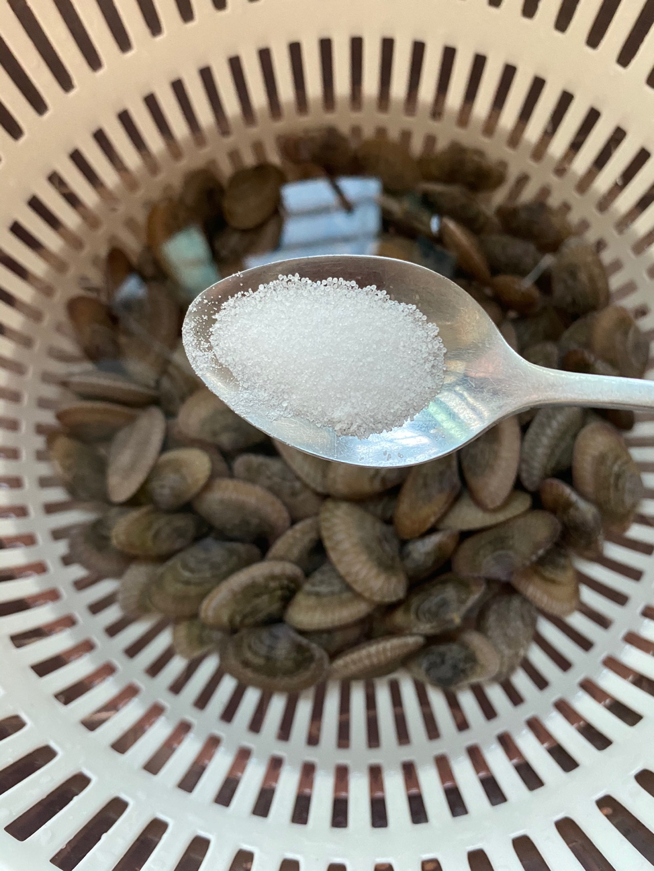 酸辣花甲粉丝煲