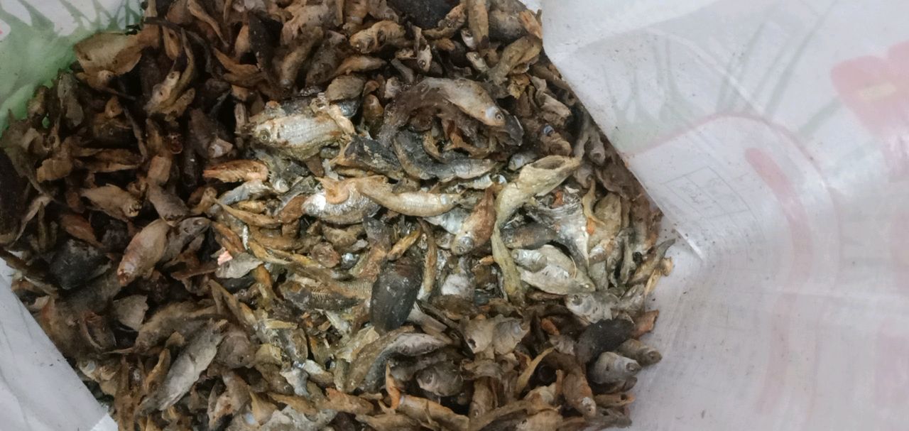 蒜苗小鱼 干