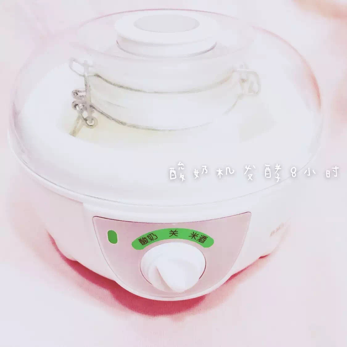 酸奶冻蓝莓果子