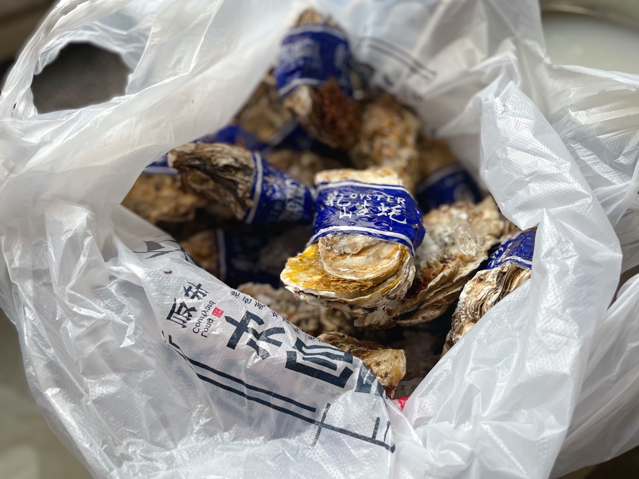 蒜蓉粉丝生蚝